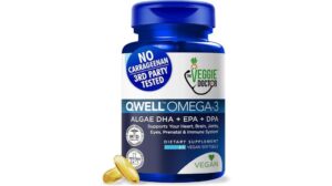 Vegan Omega 3 Supplement Review: A Smart Choice